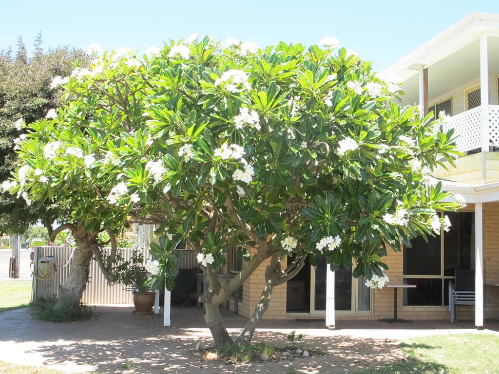 Kalbarri Riverfront Unit Apartment Exterior photo